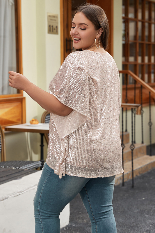 Aileen Plus Size Sequined V Neck Boxy Top